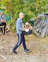 Помощь приюту для бездомных животных "Дом с хвостом"